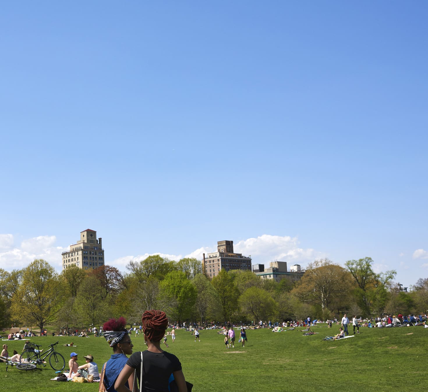 Join Prospect Park Alliance in a Summer of Stewardship + 金刚刮刮乐限定主题专场