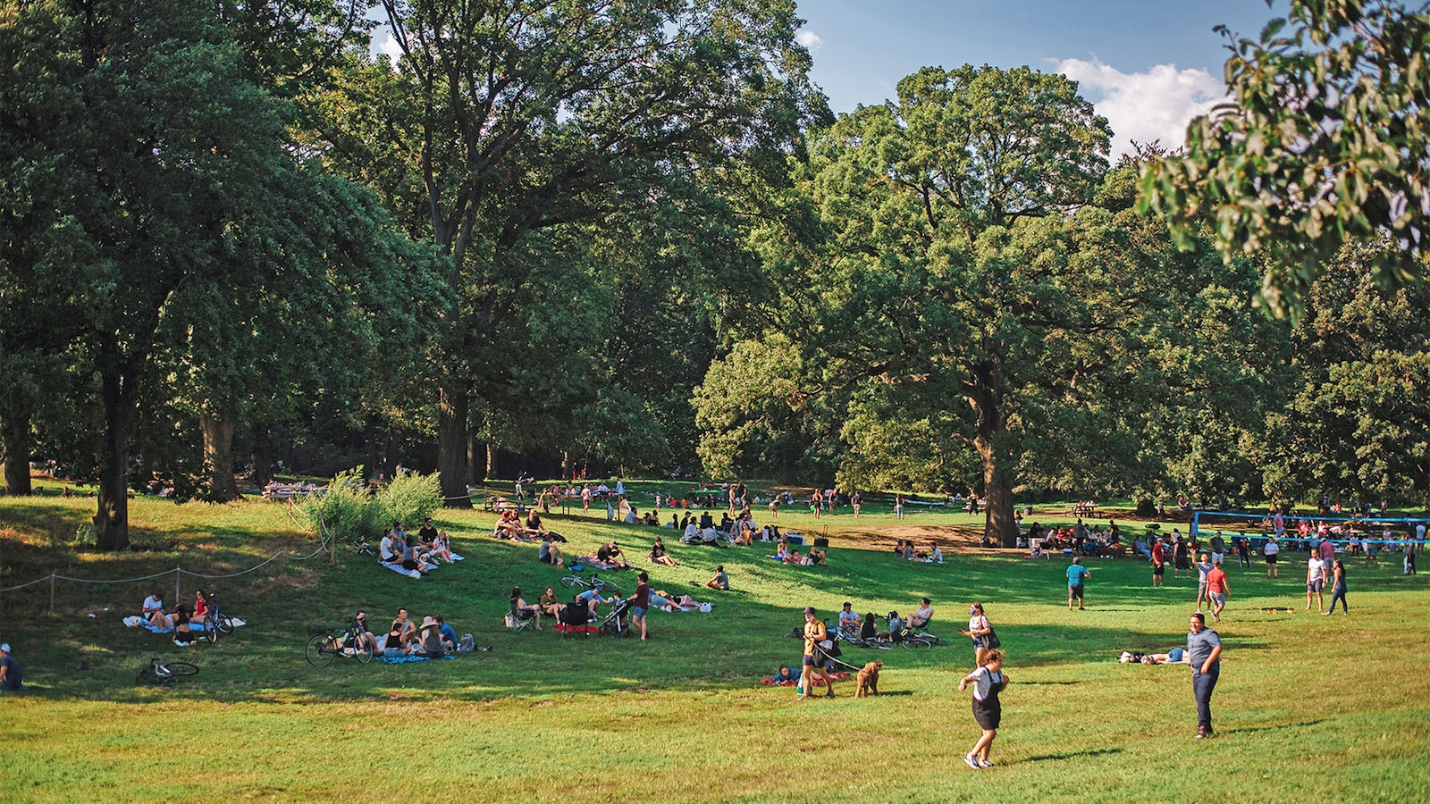 Make the Most of Summer with Park Perks + Become a Prospect Park Alliance Member Today