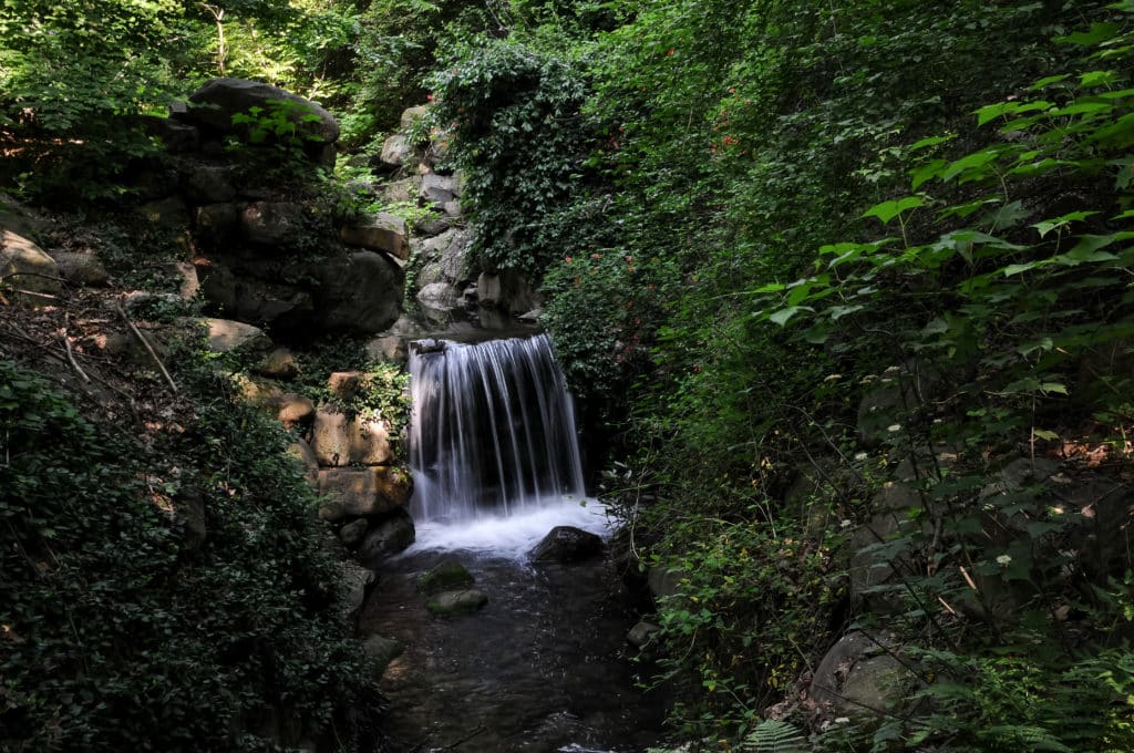 Image of waterfall, The Ravine